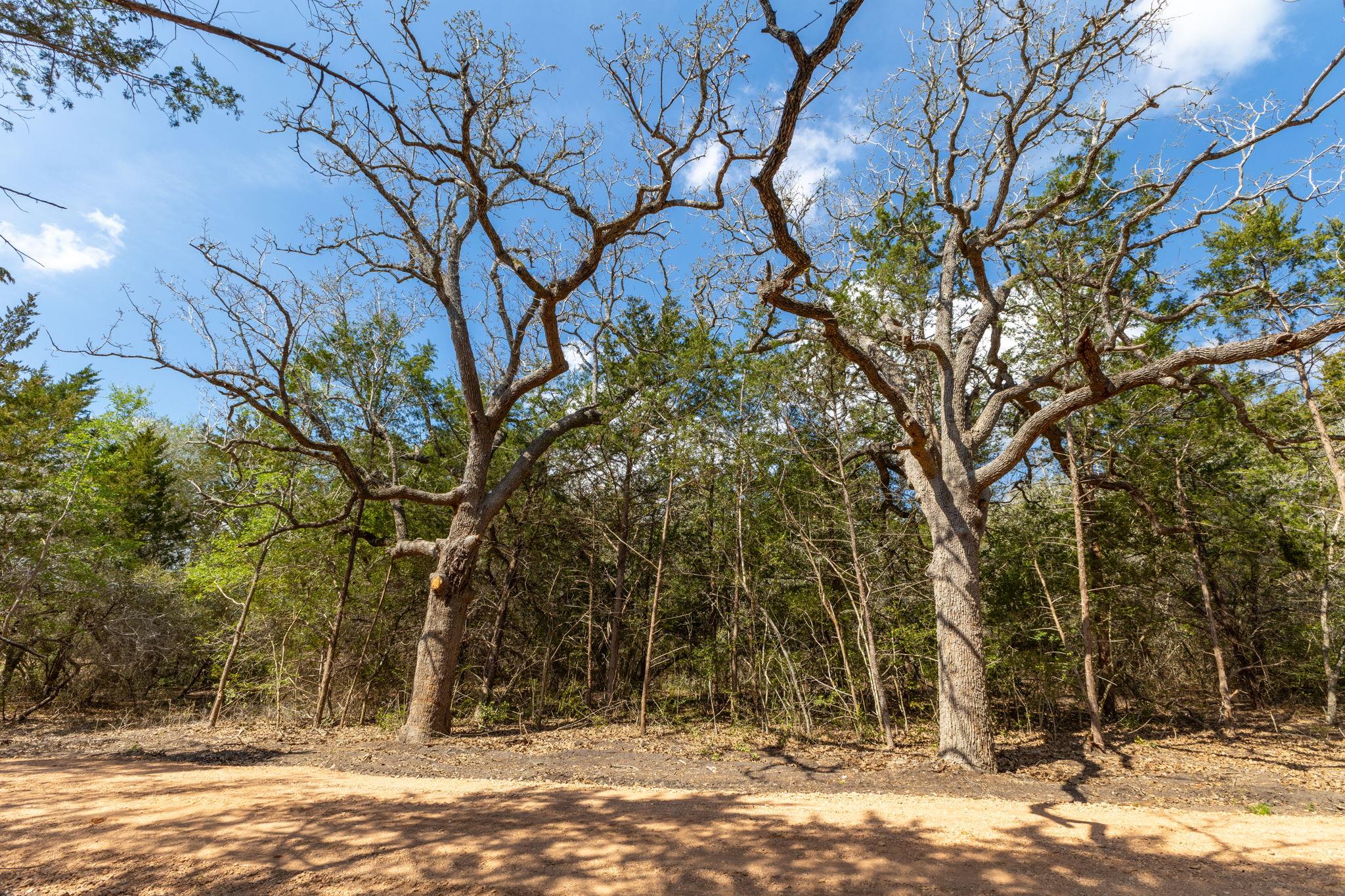 1956 (Tract #2) Baca Loop, Flatonia, TX 78941
