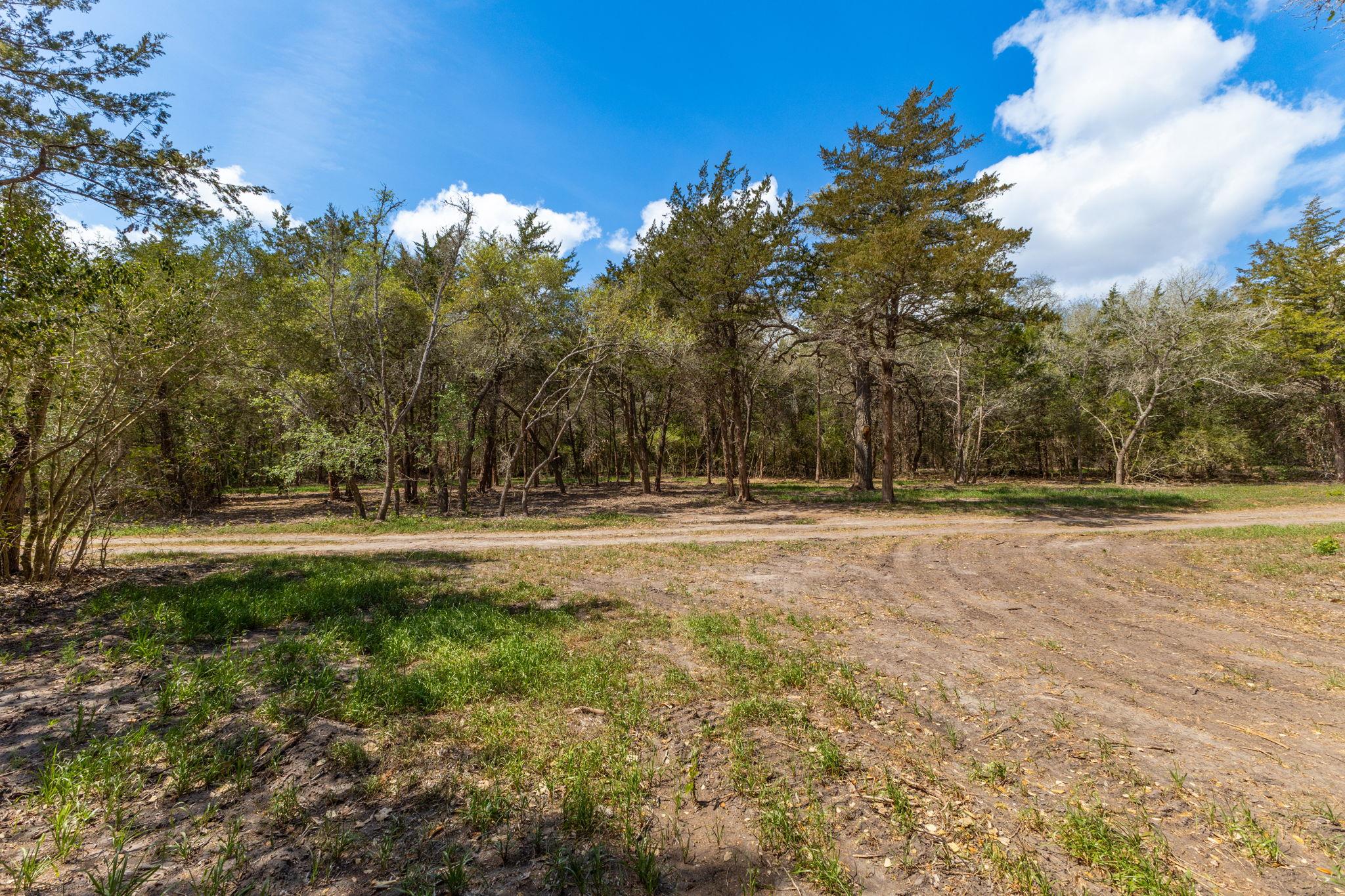 1956 (Tract #2) Baca Loop, Flatonia, TX 78941
