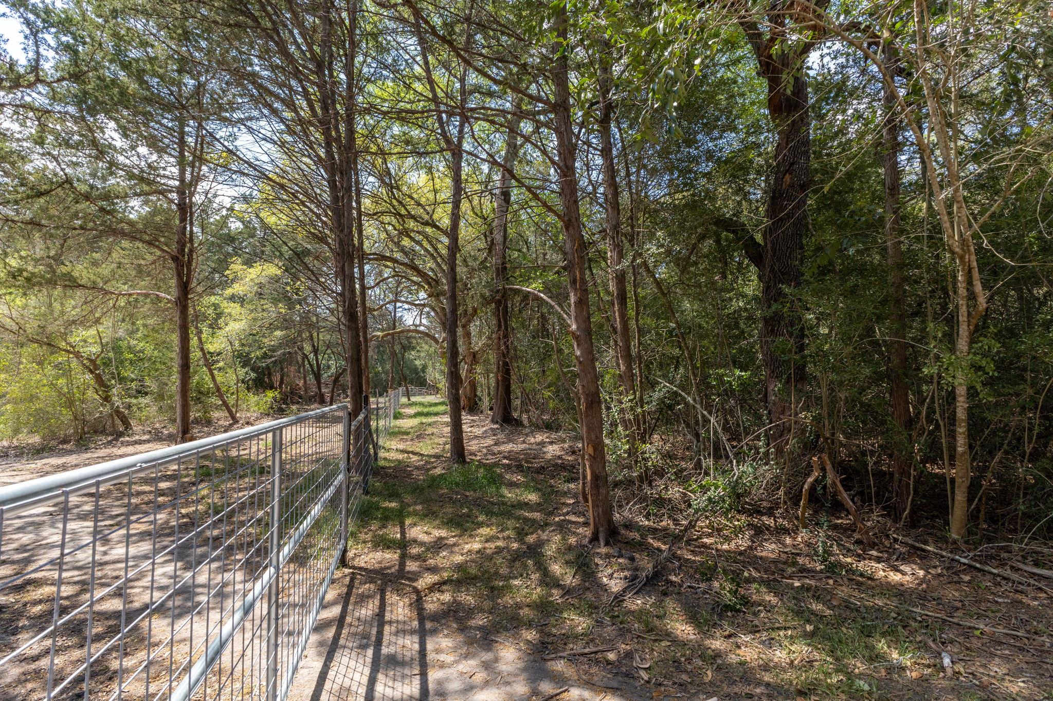 1956 (Tract #2) Baca Loop, Flatonia, TX 78941