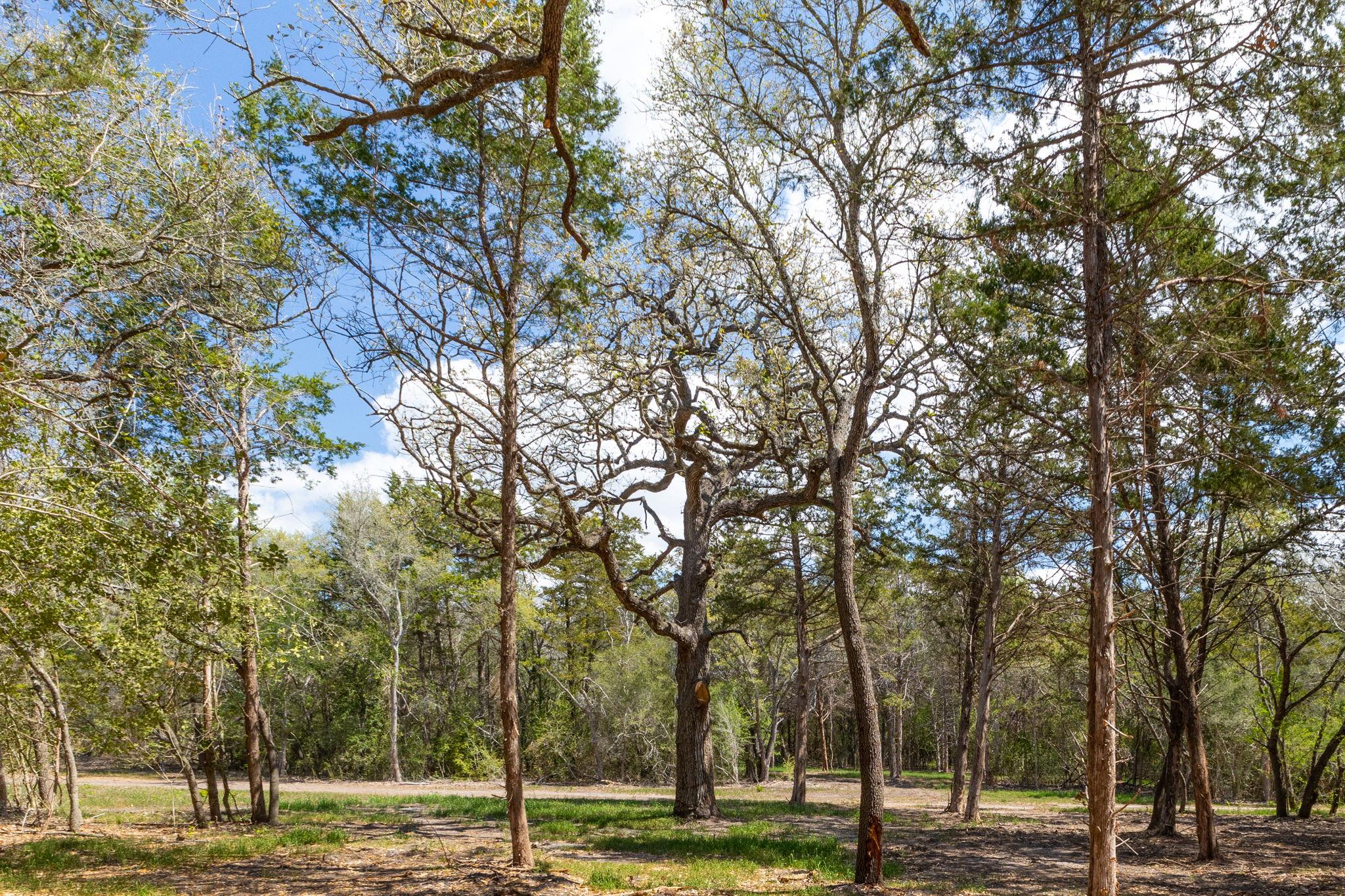 1956 (Tract #2) Baca Loop, Flatonia, TX 78941
