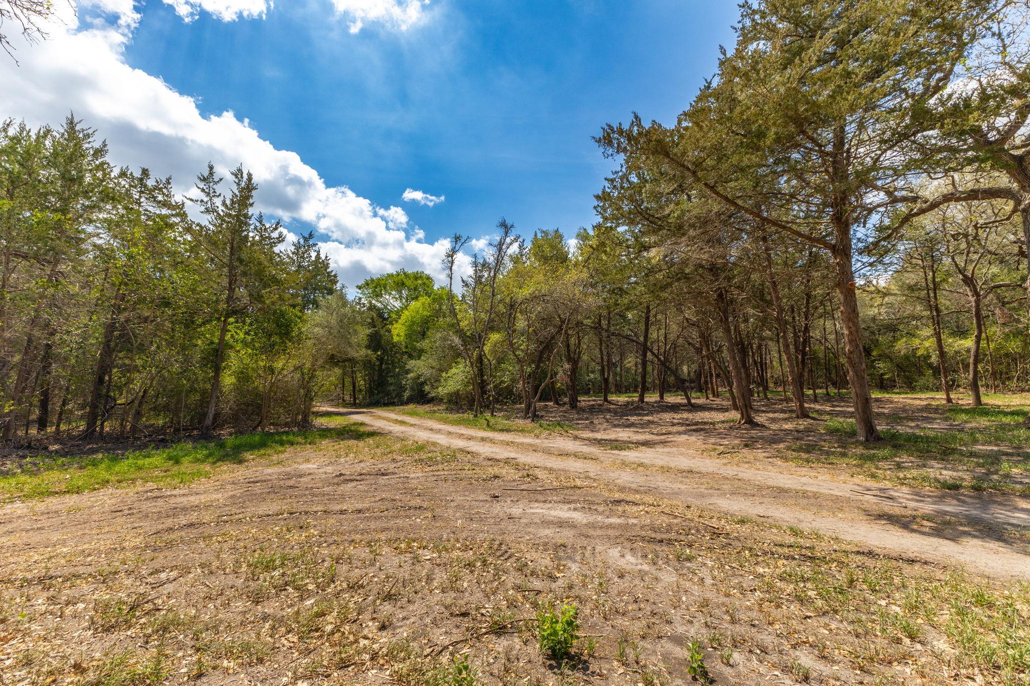 1956 (Tract #2) Baca Loop, Flatonia, TX 78941