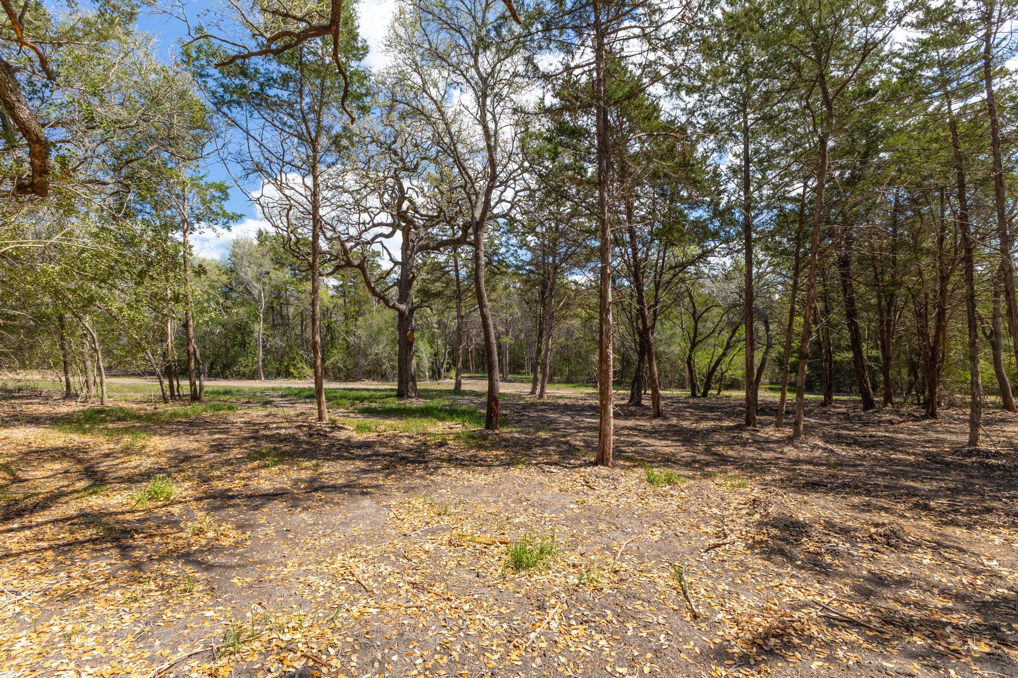 1956 (Tract #2) Baca Loop, Flatonia, TX 78941