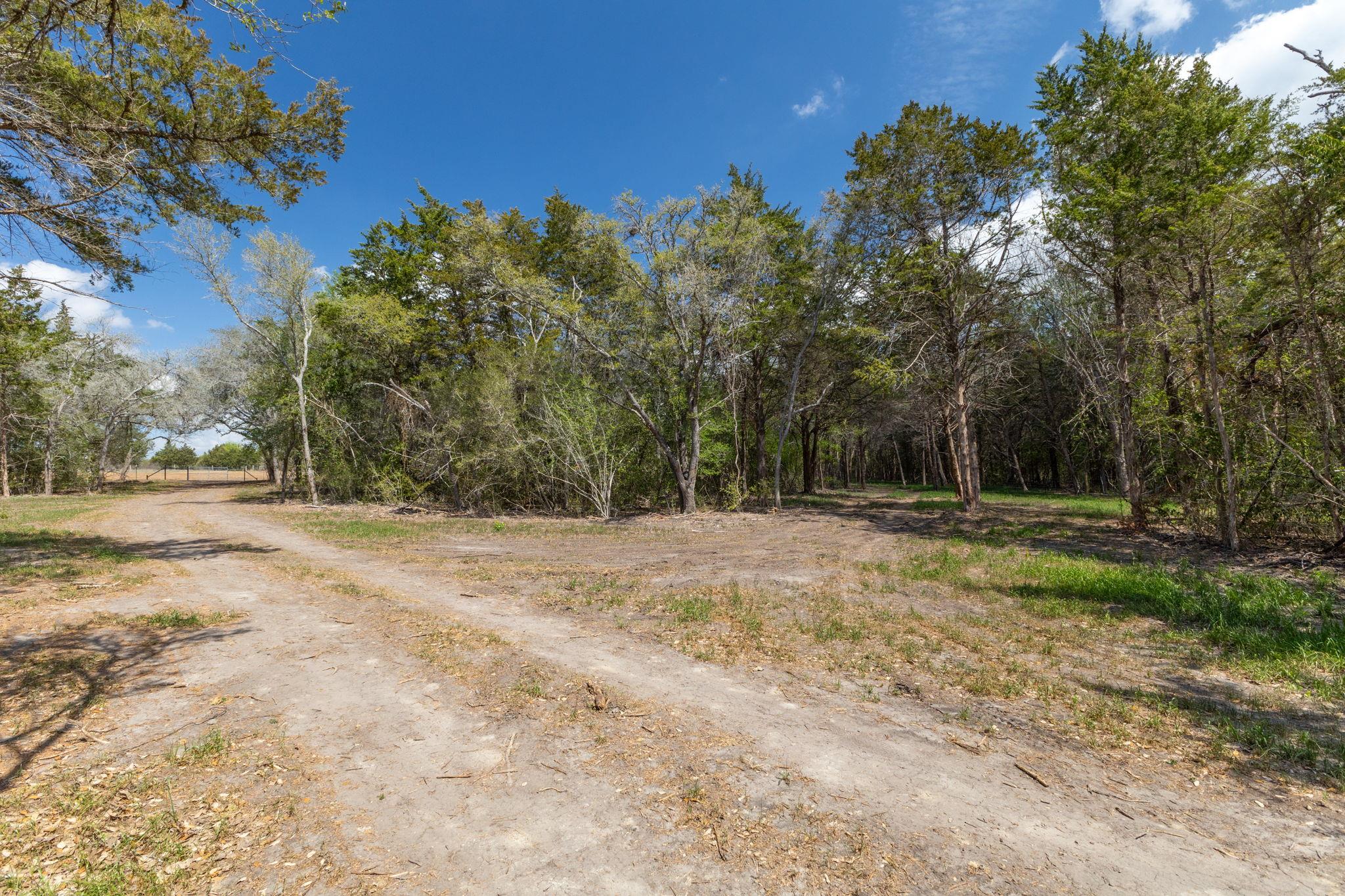 1956 (Tract #2) Baca Loop, Flatonia, TX 78941