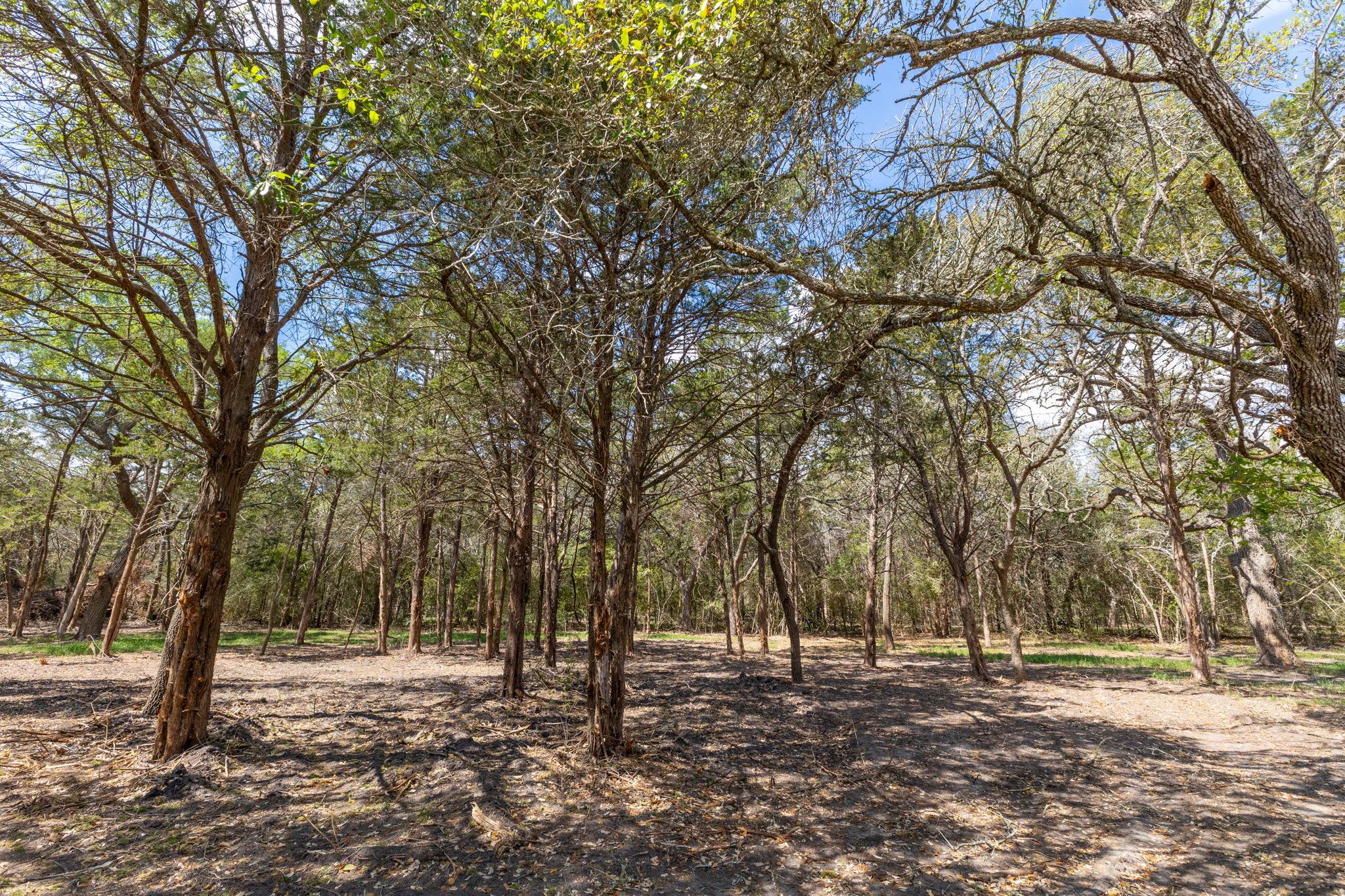 1956 (Tract #2) Baca Loop, Flatonia, TX 78941
