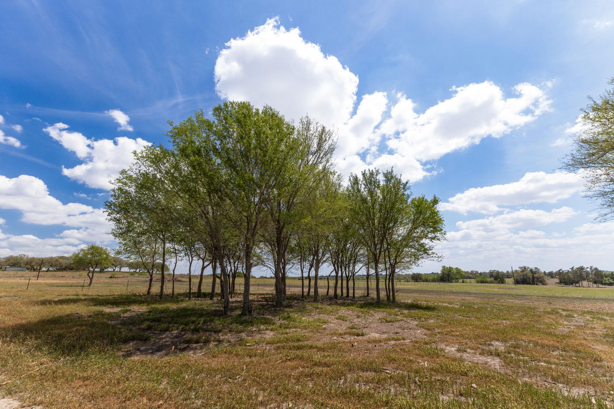 2112 (Tract #4) Baca Loop, Flatonia, TX 78941
