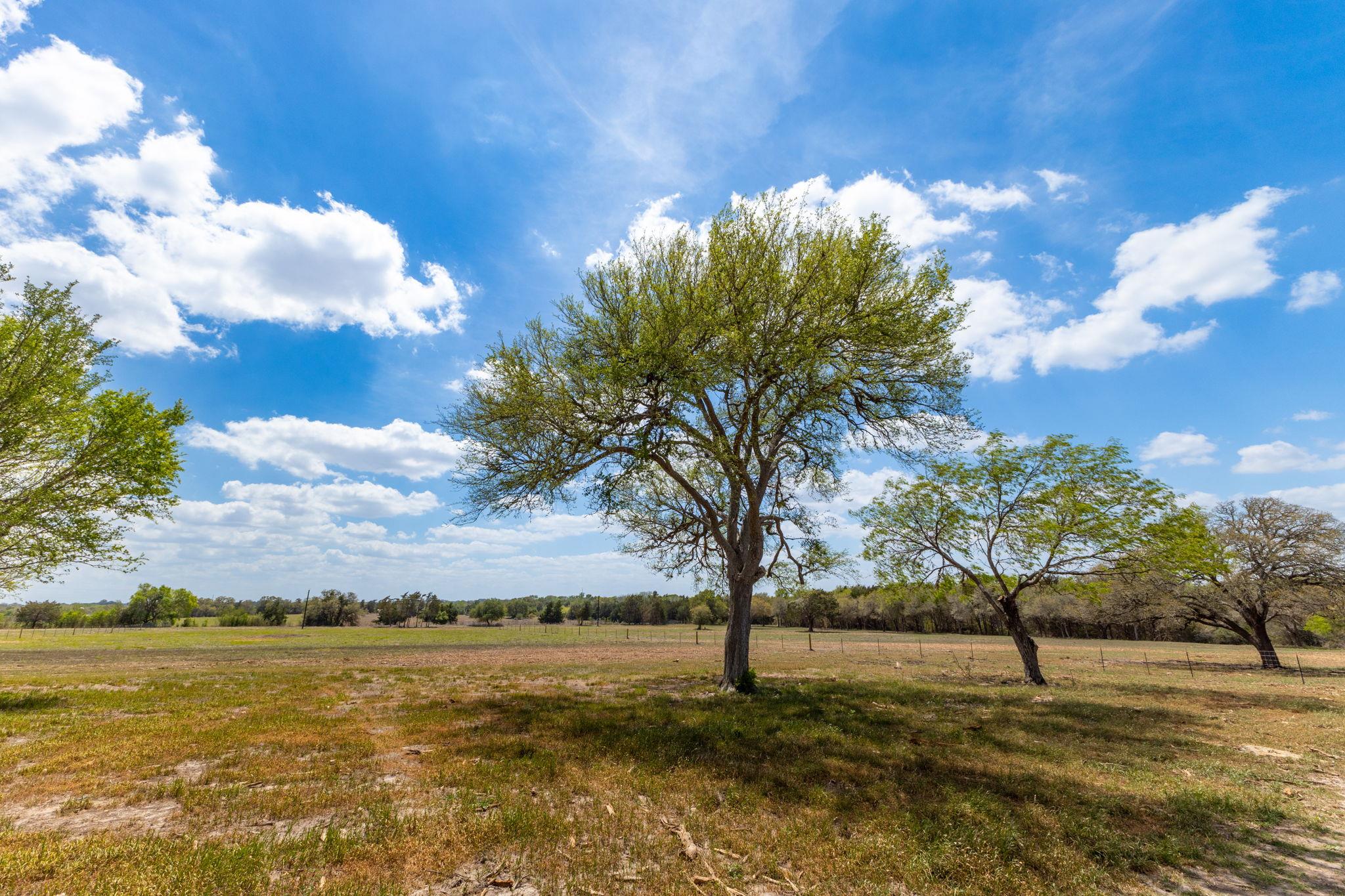 2112 (Tract #4) Baca Loop, Flatonia, TX 78941