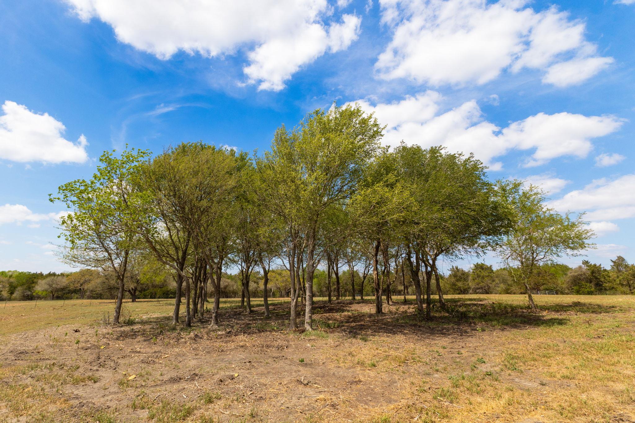 2112 (Tract #4) Baca Loop, Flatonia, TX 78941