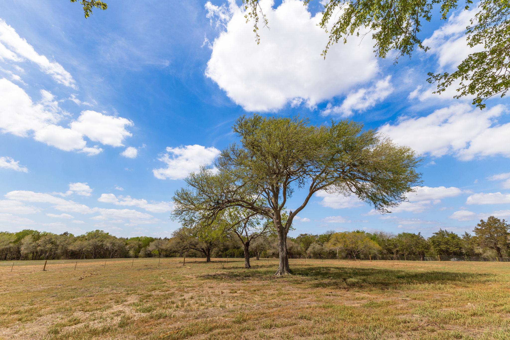 2112 (Tract #4) Baca Loop, Flatonia, TX 78941