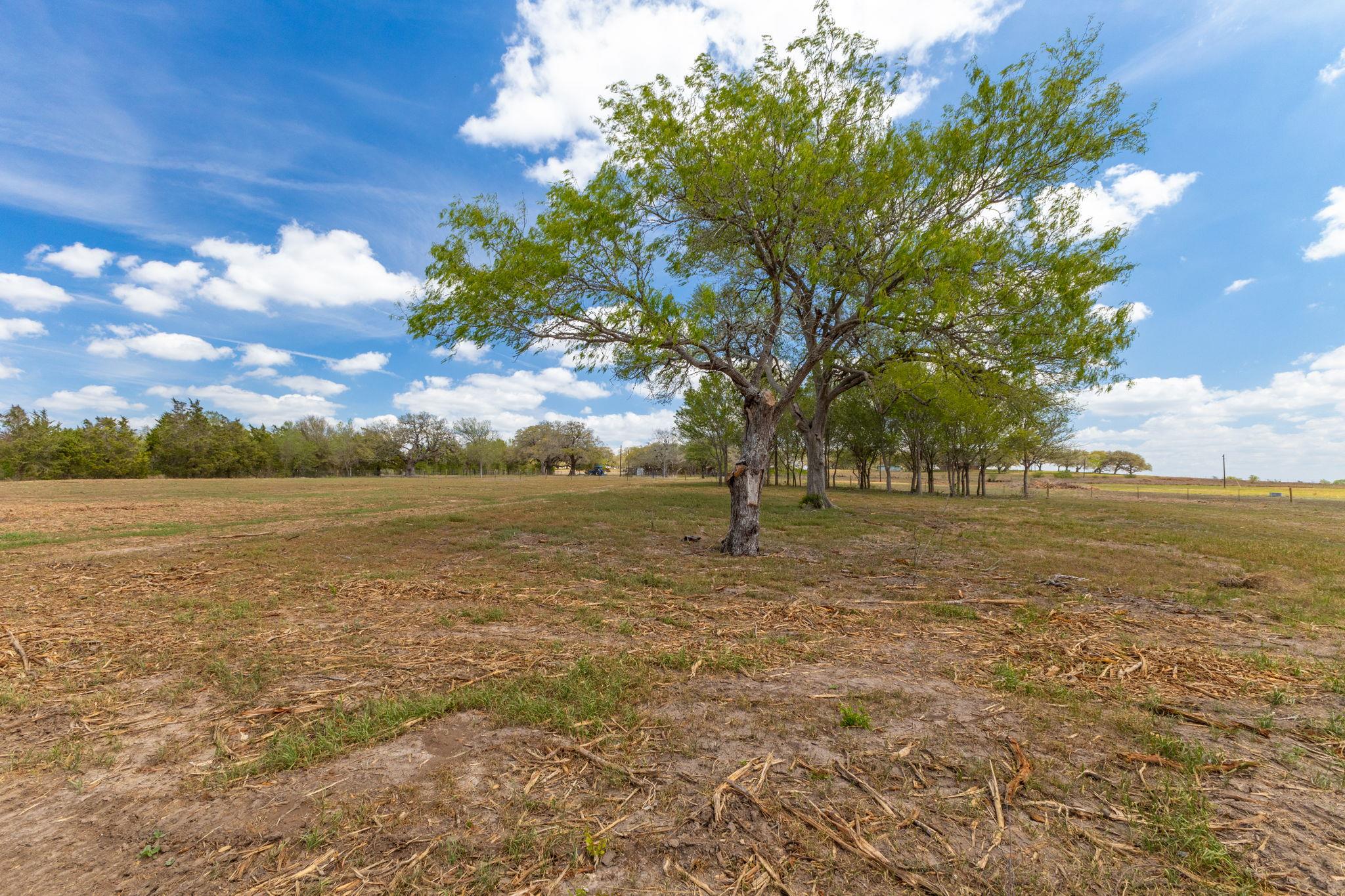 2112 (Tract #4) Baca Loop, Flatonia, TX 78941