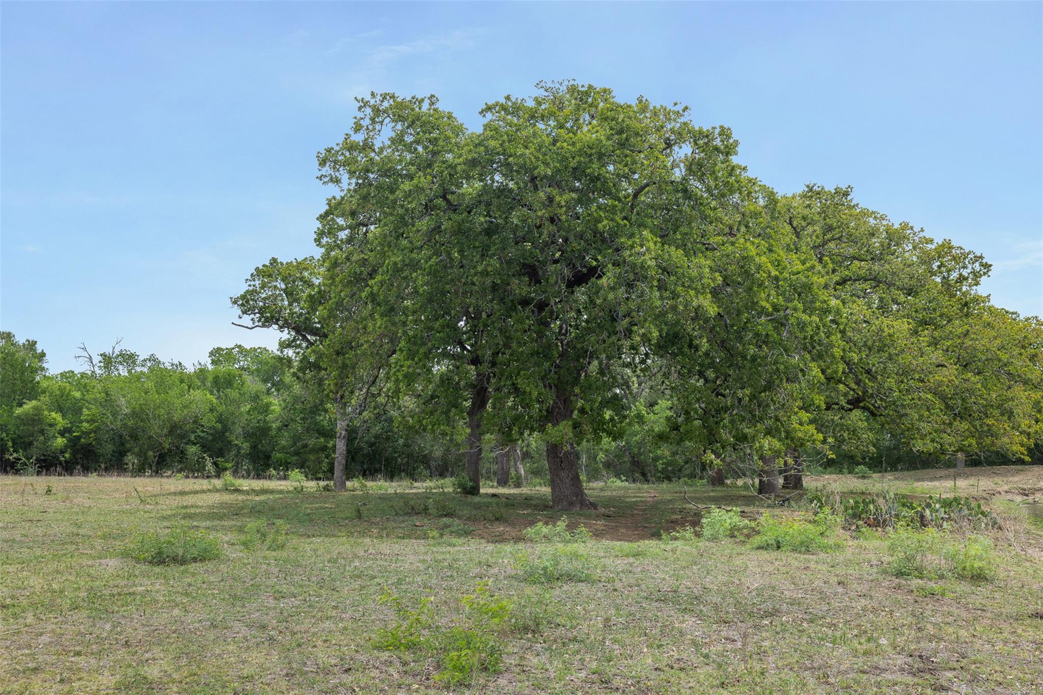 9765 State Park Rd, Lockhart, TX 78644