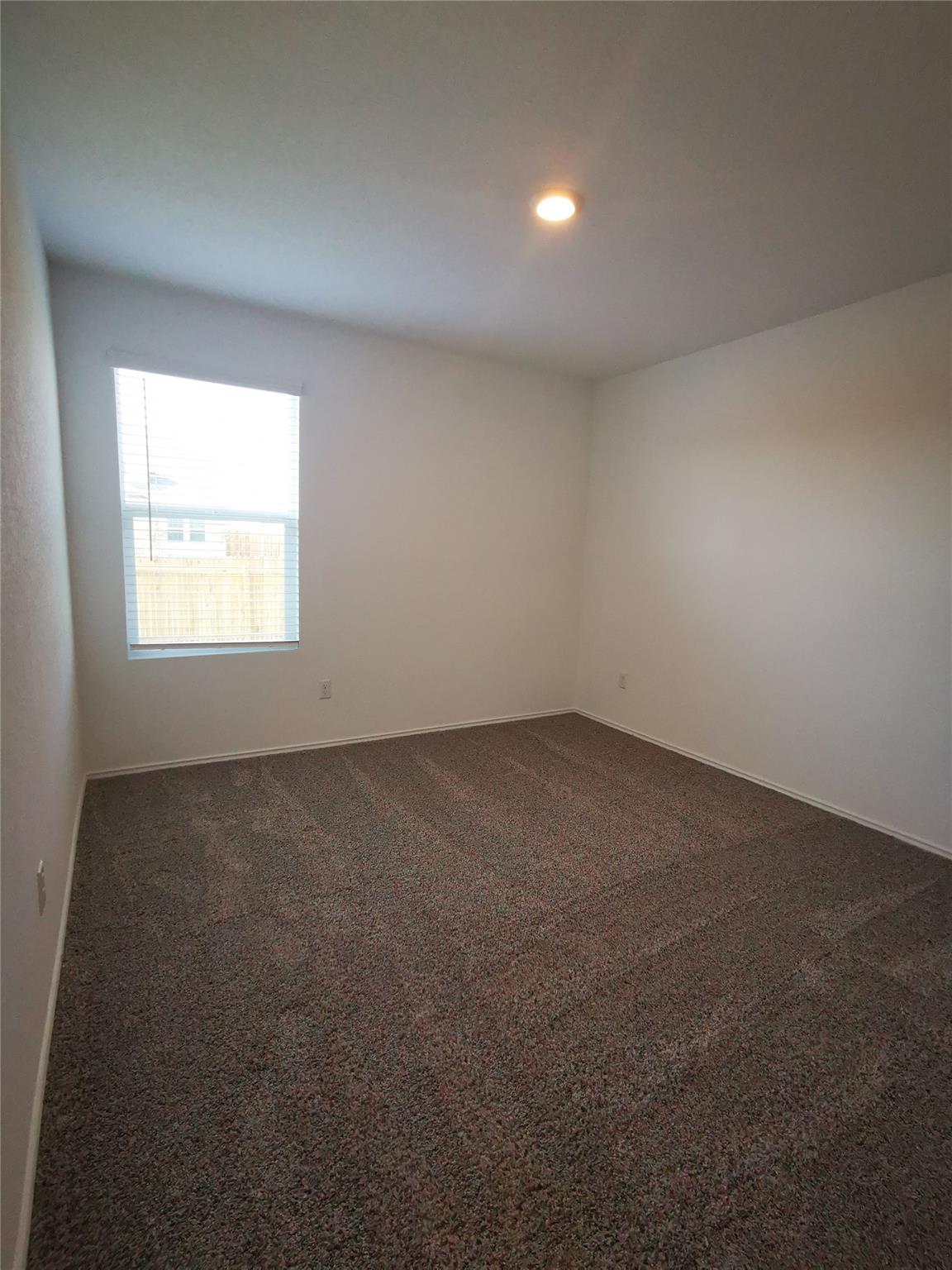 101 Red Buckeye St, Hutto, TX 78634