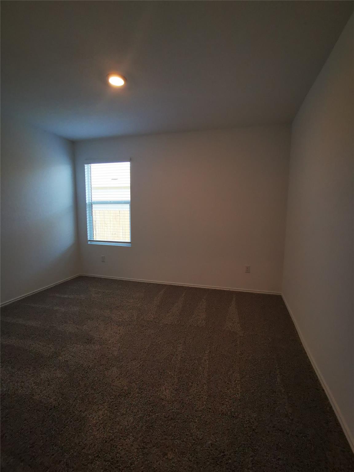 101 Red Buckeye St, Hutto, TX 78634