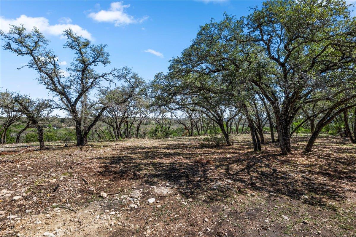25723 Hamilton Pool Rd, Round Mountain, TX 78654