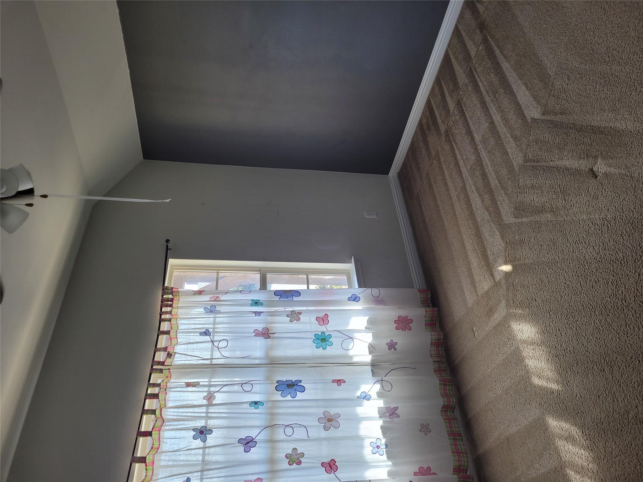 3416 De Soto Loop, Round Rock, TX 78665