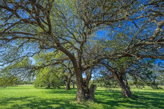 4772-2 County Road 340, Burnet, TX 76905