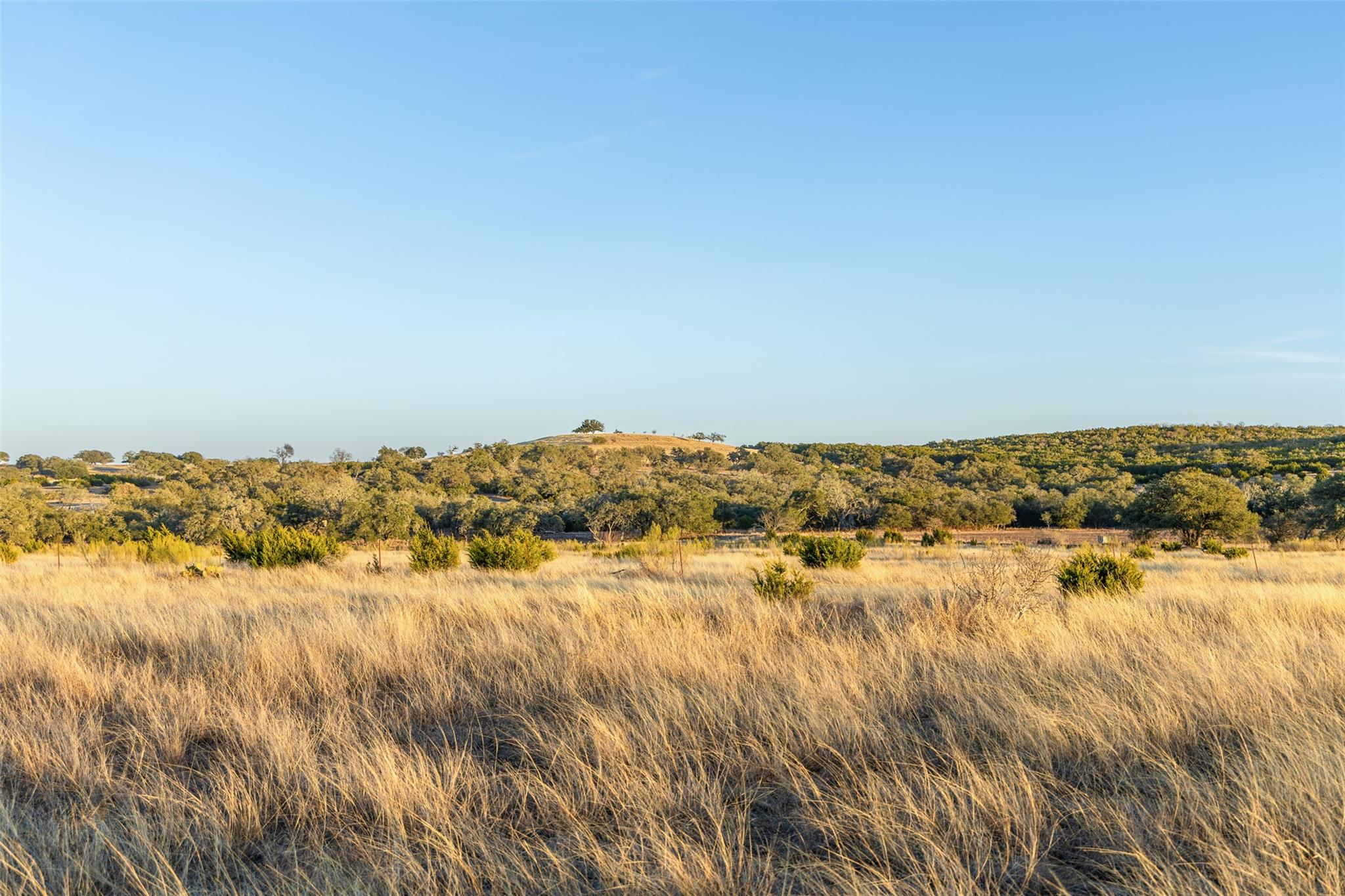 2227 Klein-Ahrens Rd, Fredericksburg, TX 78624