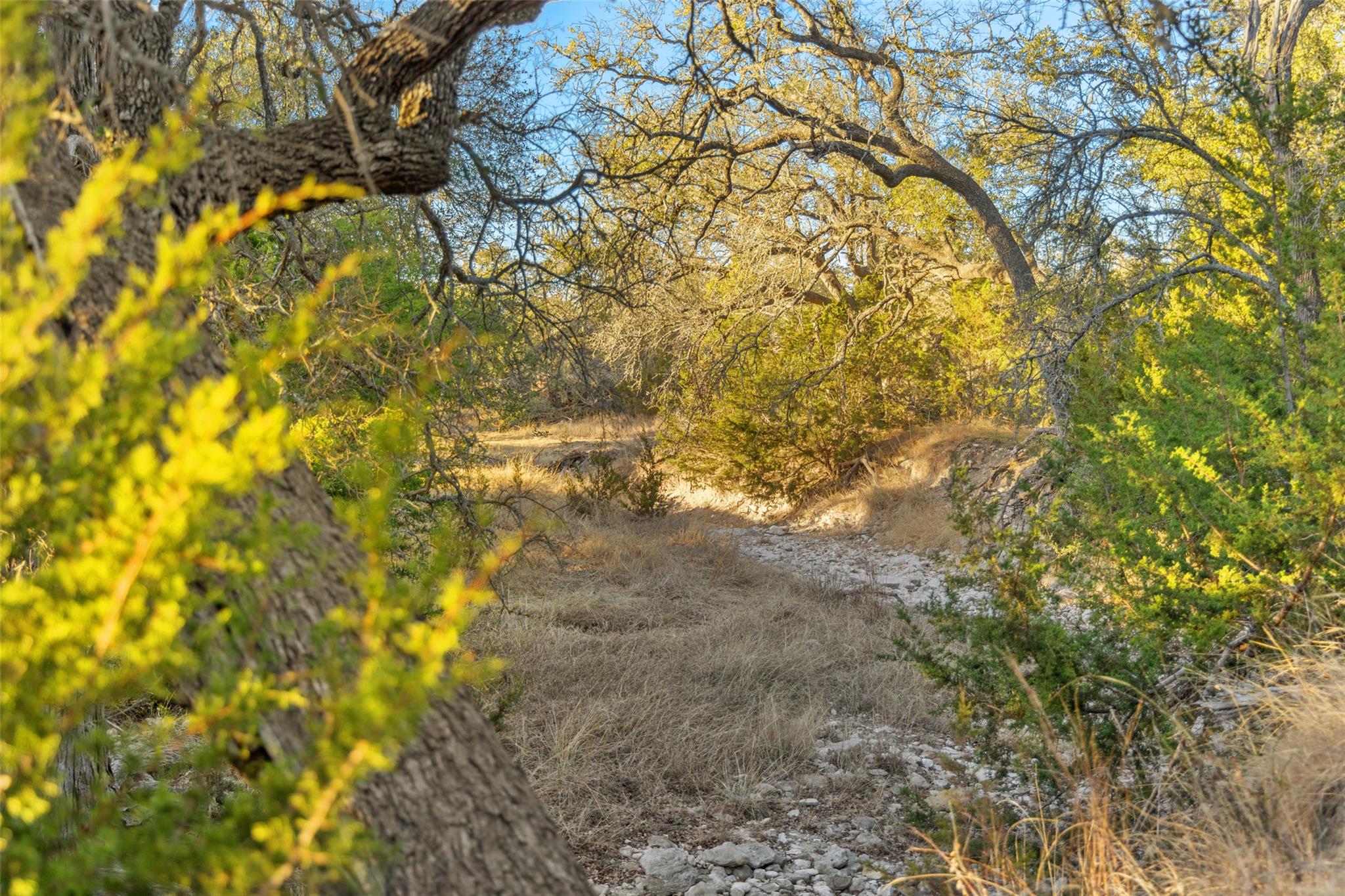 2227 Klein-Ahrens Rd, Fredericksburg, TX 78624