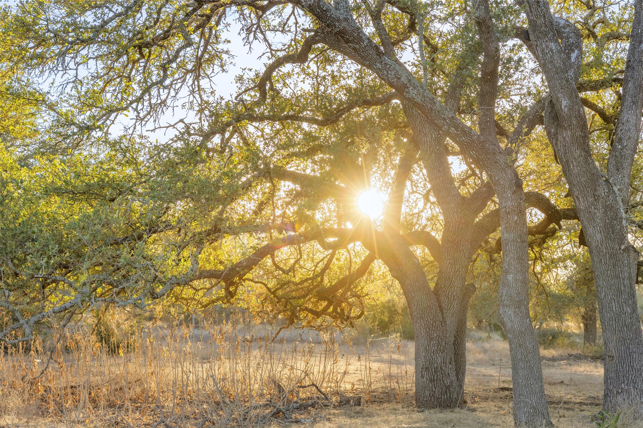 2227 Klein-Ahrens Rd, Fredericksburg, TX 78624