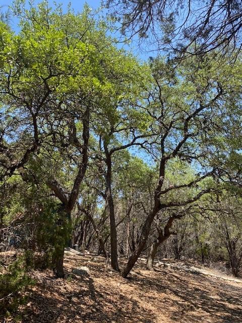 17801 Moon Rise Cv, Jonestown, TX 78645