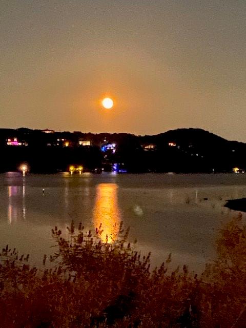 17801 Moon Rise Cv, Jonestown, TX 78645