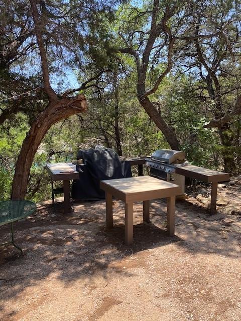 17801 Moon Rise Cv, Jonestown, TX 78645