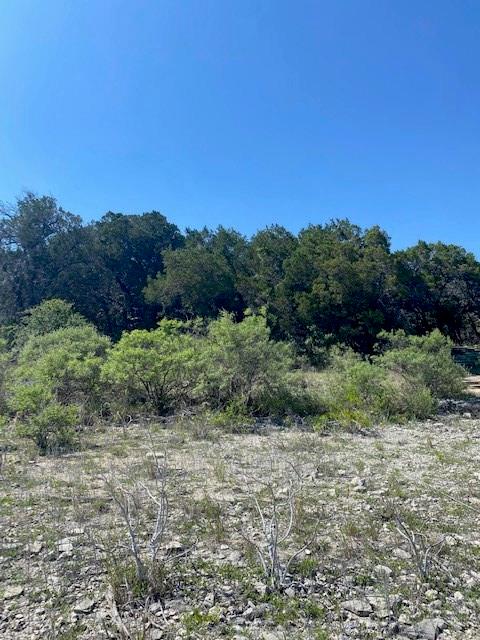 17801 Moon Rise Cv, Jonestown, TX 78645