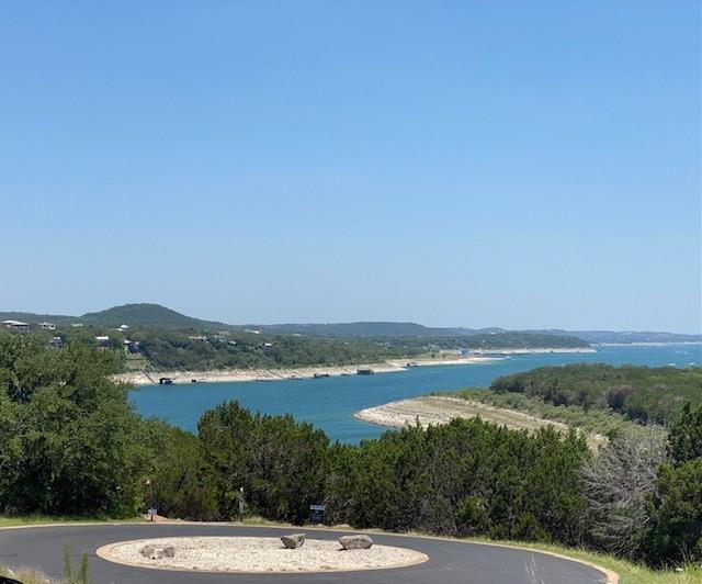 17801 Moon Rise Cv, Jonestown, TX 78645