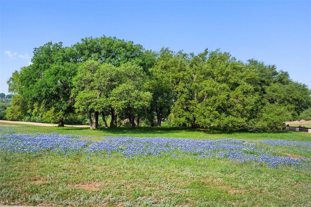 27132 Founders Pl, Spicewood, TX 78669