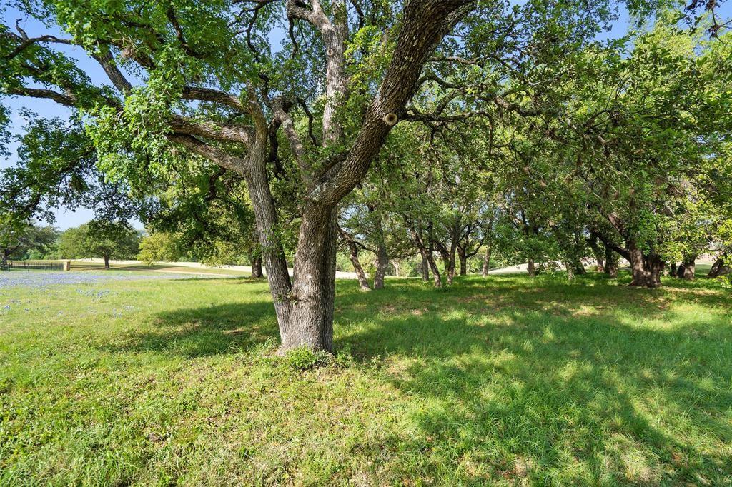 27132 Founders Pl, Spicewood, TX 78669