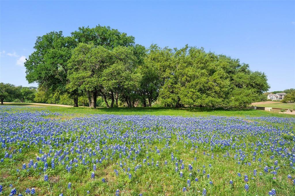 27132 Founders Pl, Spicewood, TX 78669