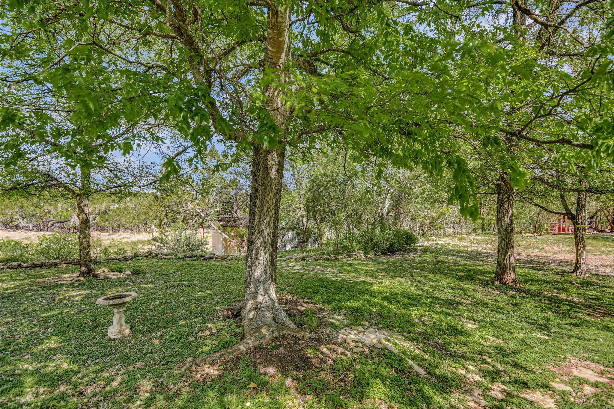 175 Fischer Trl, Wimberley, TX 78676