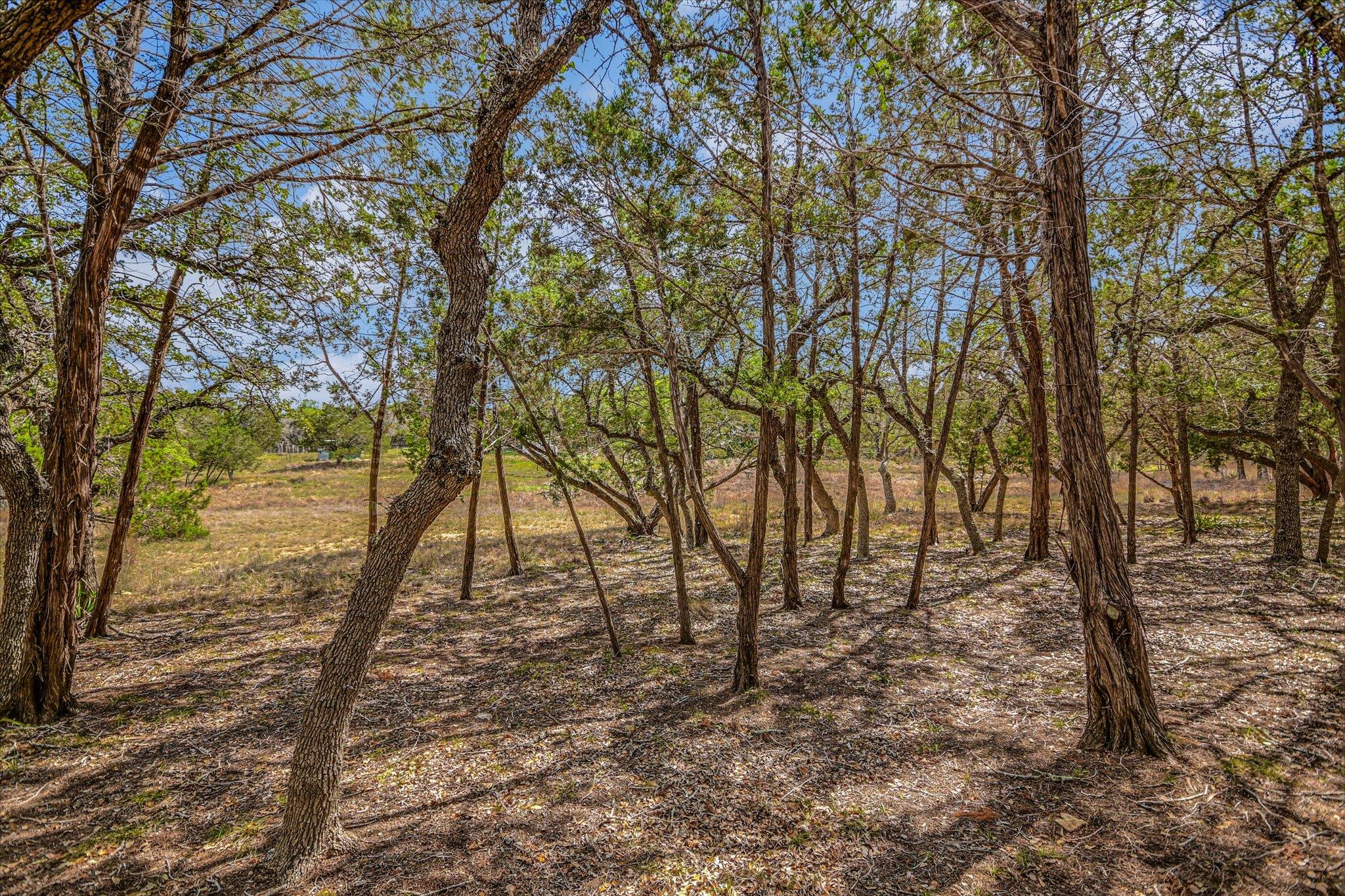 175 Fischer Trl, Wimberley, TX 78676