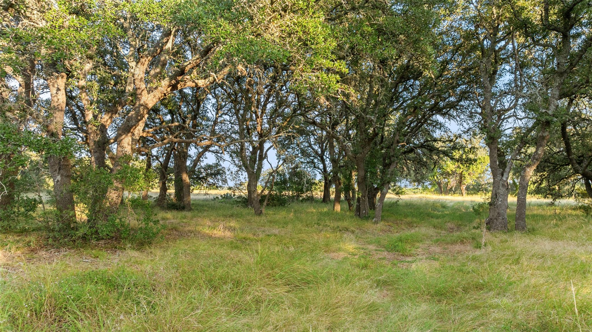 2 Jana Rose, Blanco, TX 78606