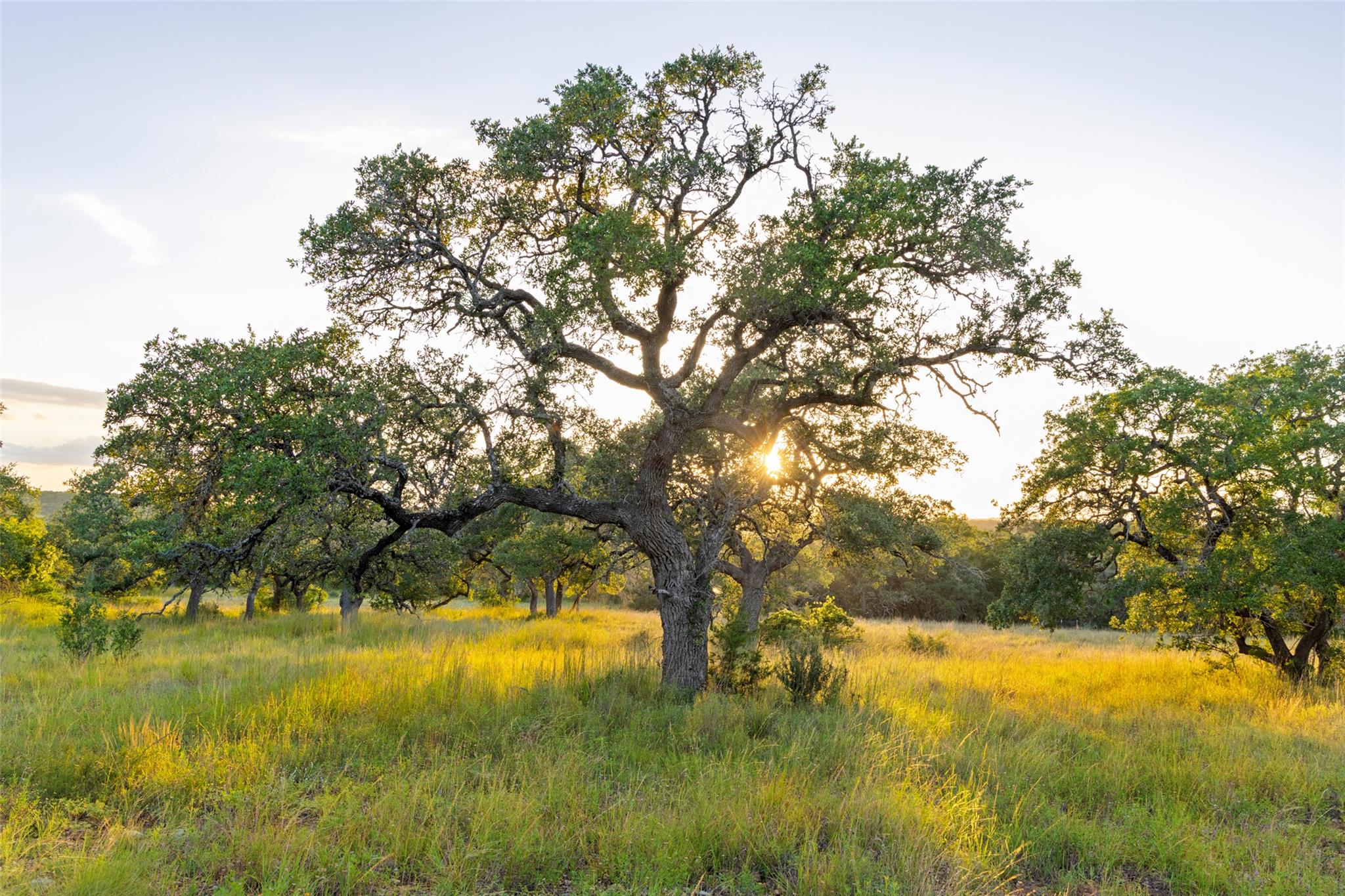 2 Jana Rose, Blanco, TX 78606