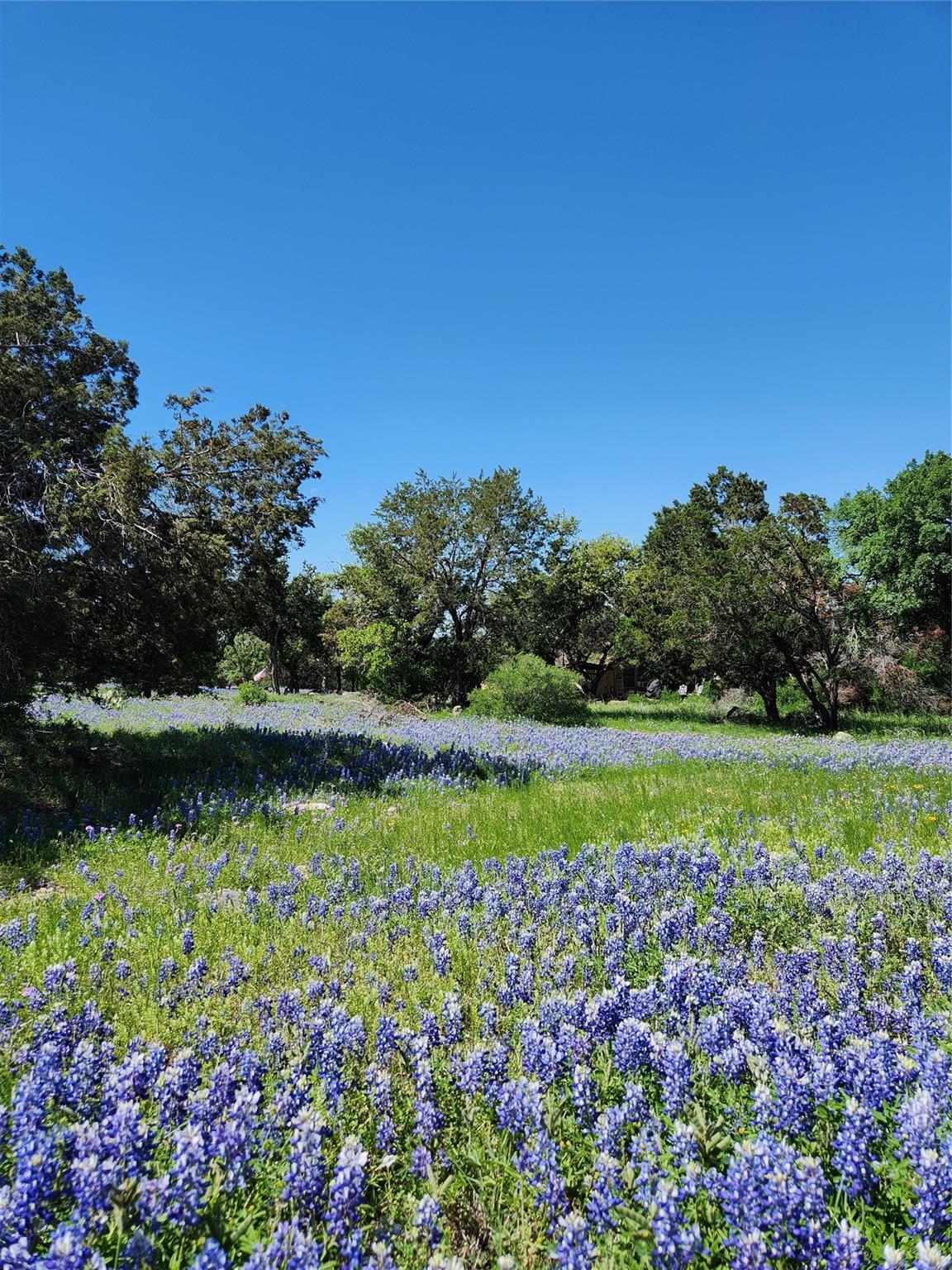 2006 Brazos, Horseshoe Bay, TX 78657