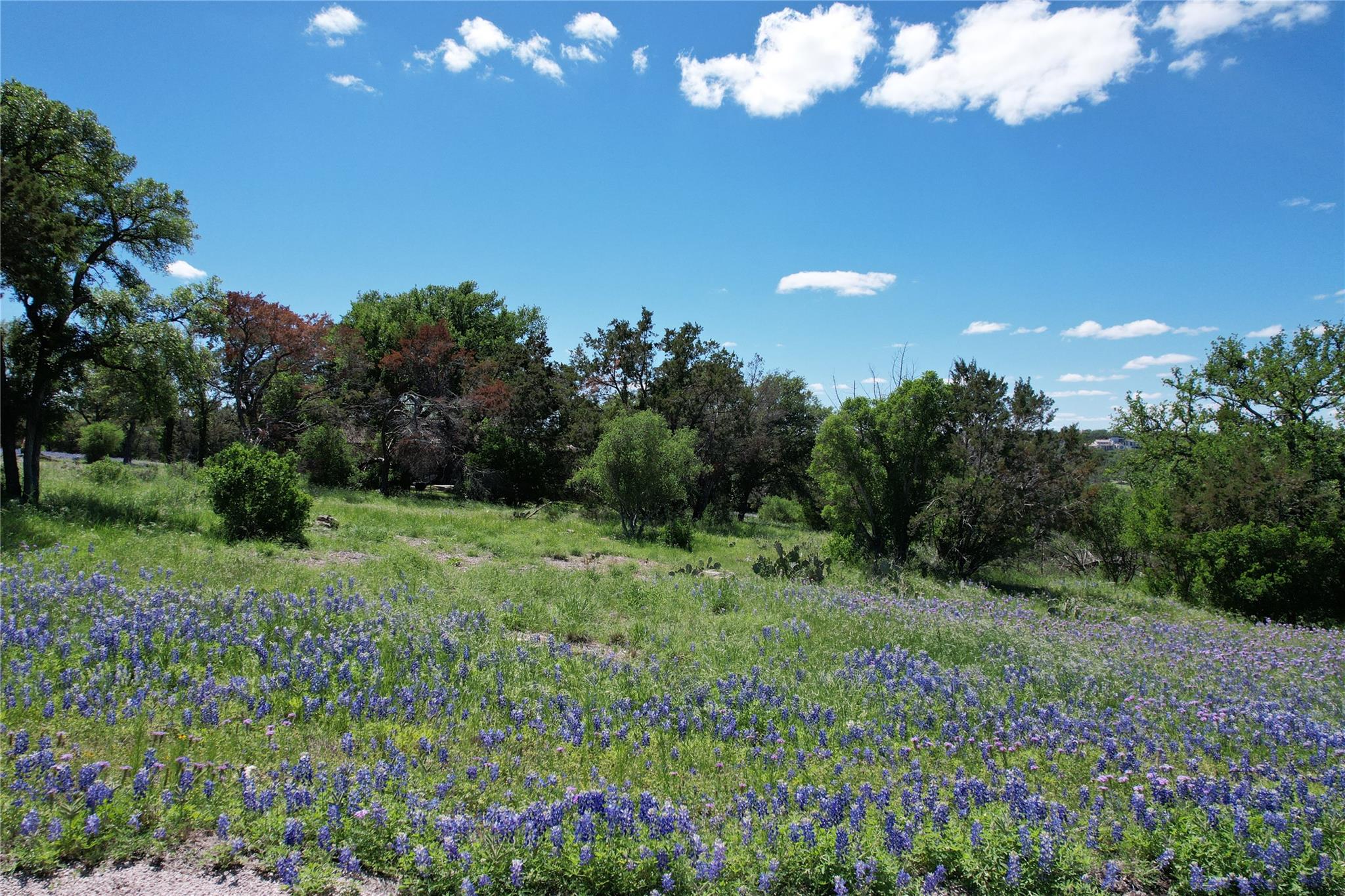 2006 Brazos, Horseshoe Bay, TX 78657