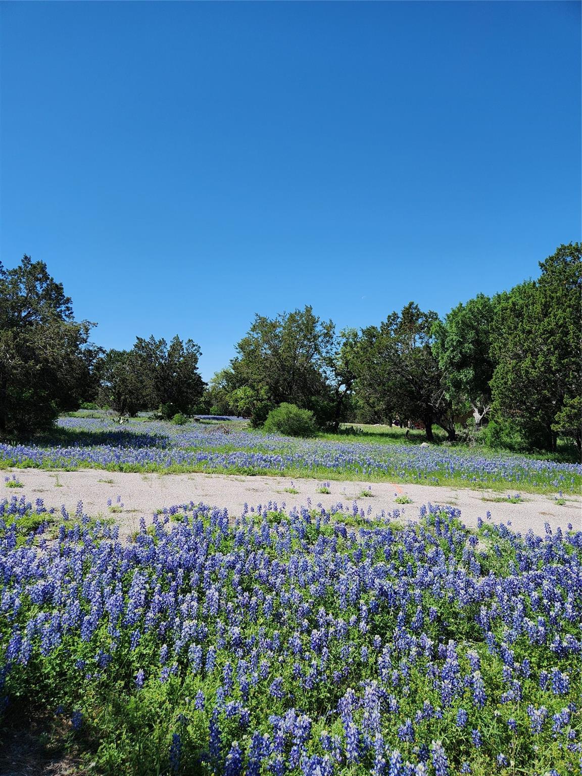 2006 Brazos, Horseshoe Bay, TX 78657