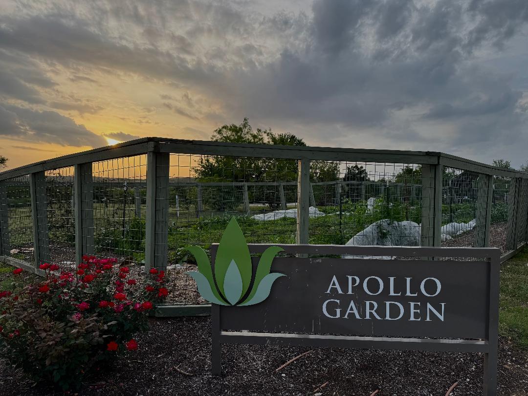 16609 SUMPTUOUS Dr, Manor, TX 78653