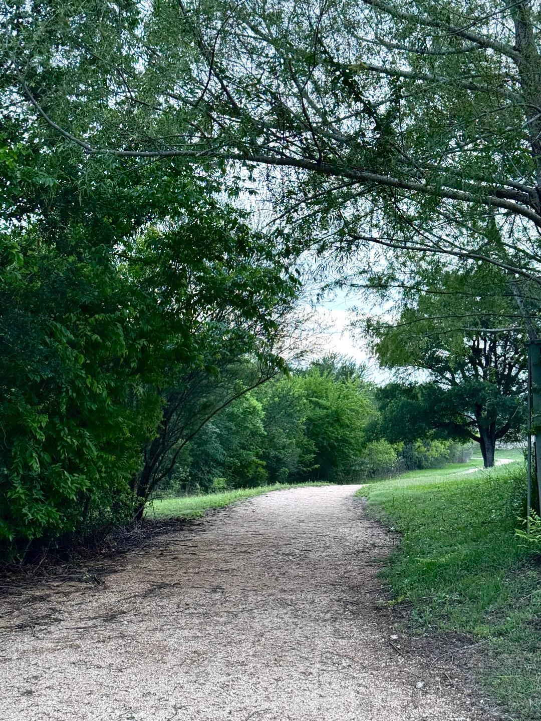 16609 SUMPTUOUS Dr, Manor, TX 78653