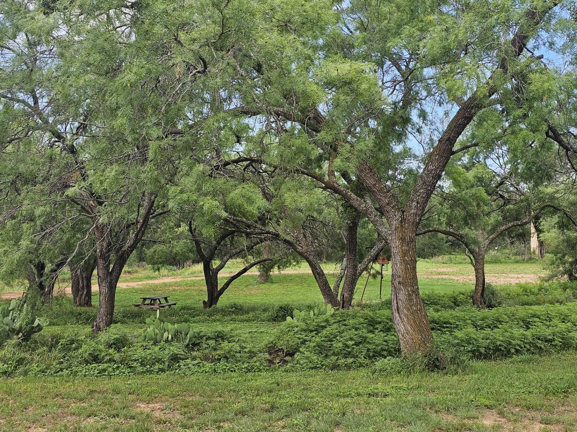 441 County Road 433, Mullin, TX 76864