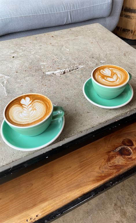 705 Lisa Dr, Austin, TX 78733