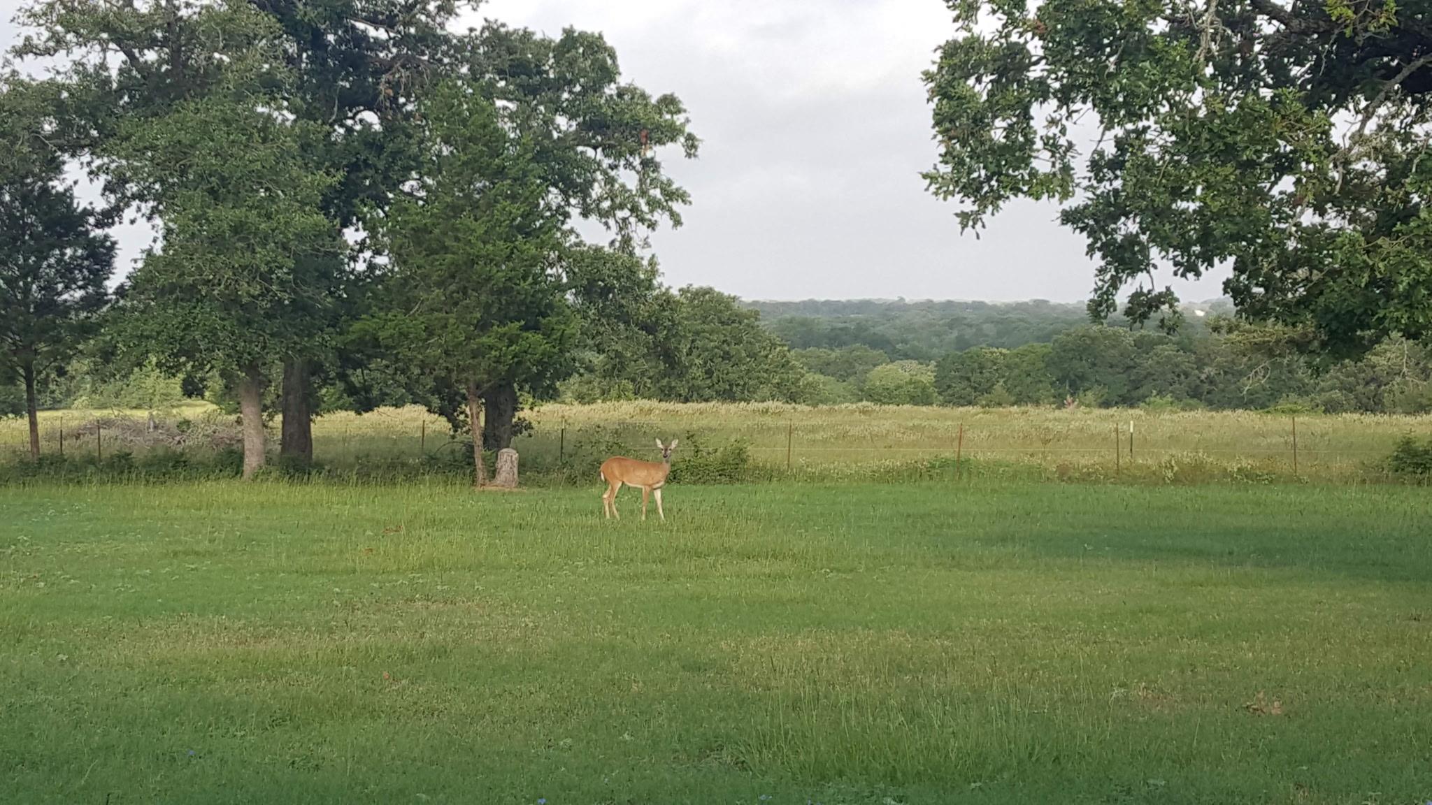 3873 Fm 1624, Lincoln, TX 78948