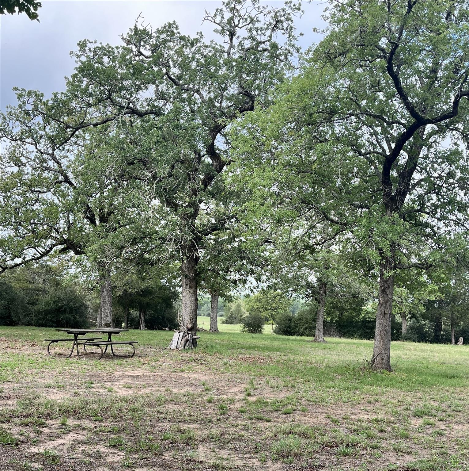 3873 Fm 1624, Lincoln, TX 78948