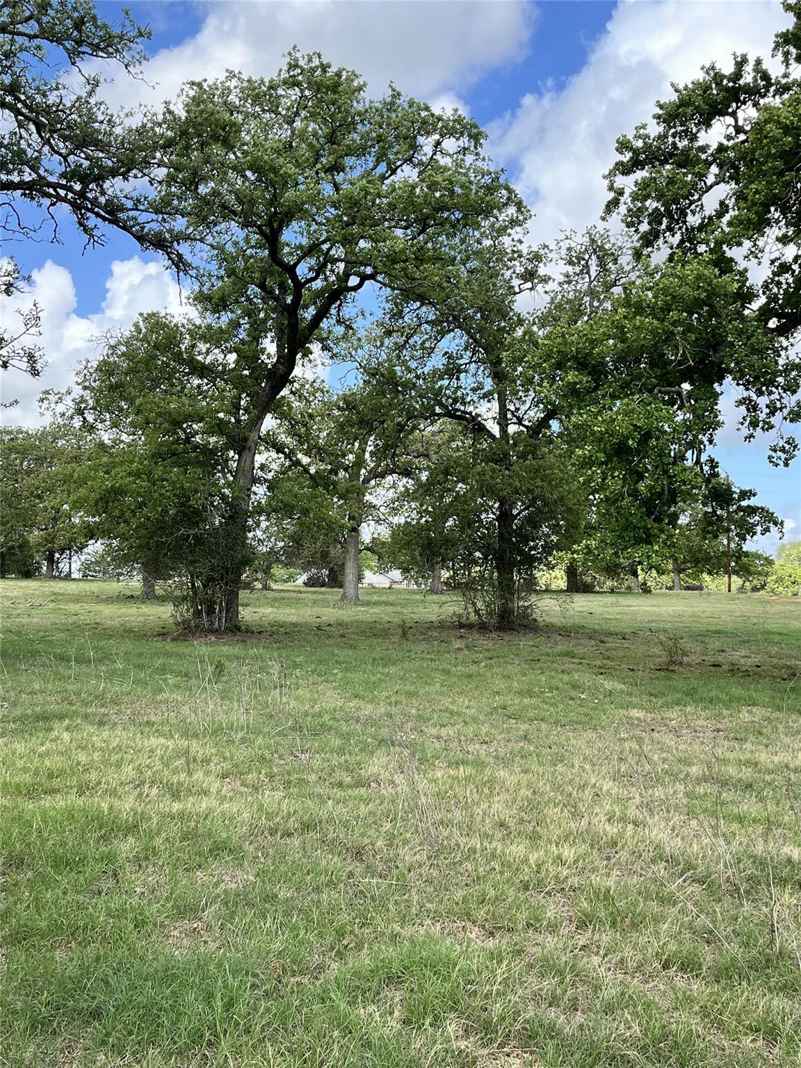 3873 Fm 1624, Lincoln, TX 78948