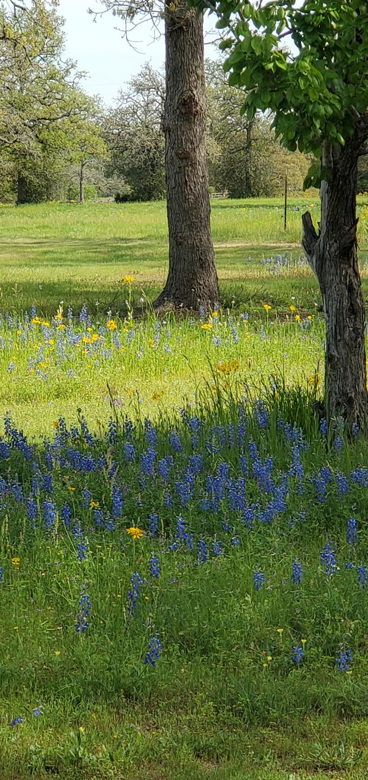 3873 Fm 1624, Lincoln, TX 78948