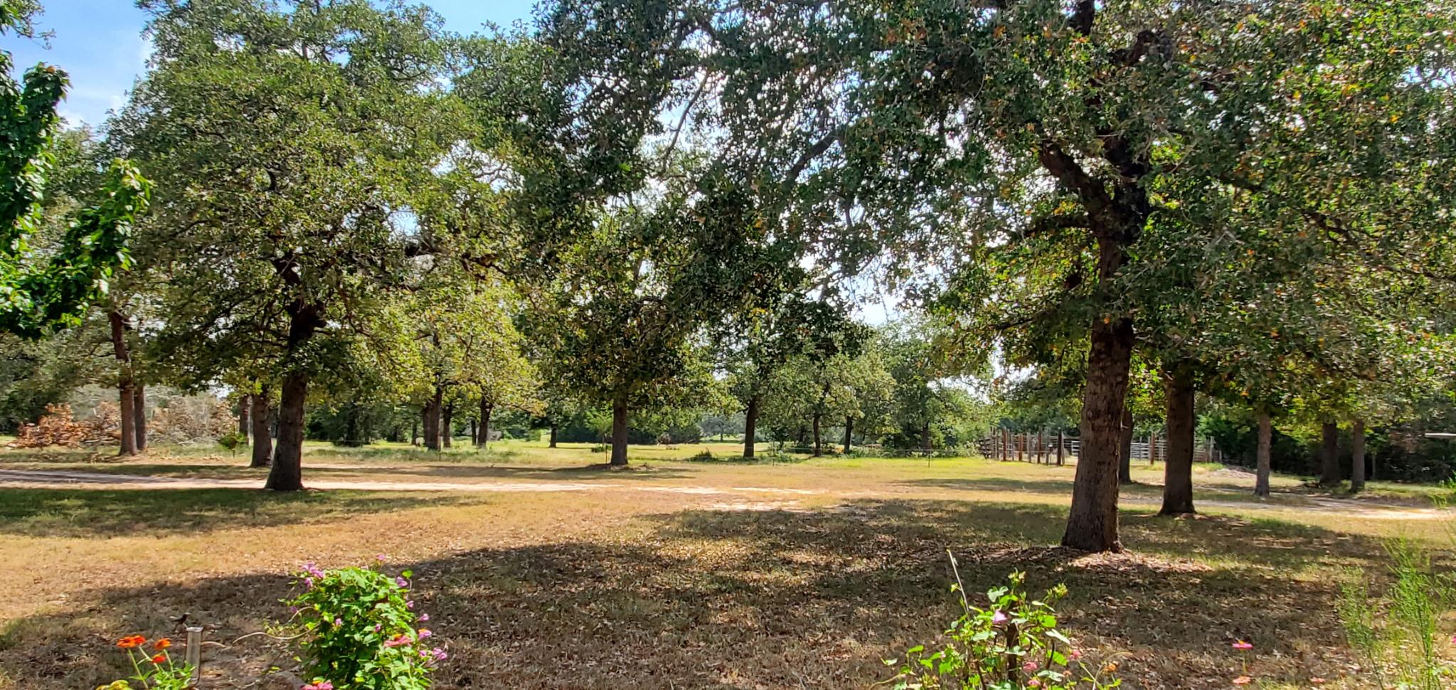 3873 Fm 1624, Lincoln, TX 78948