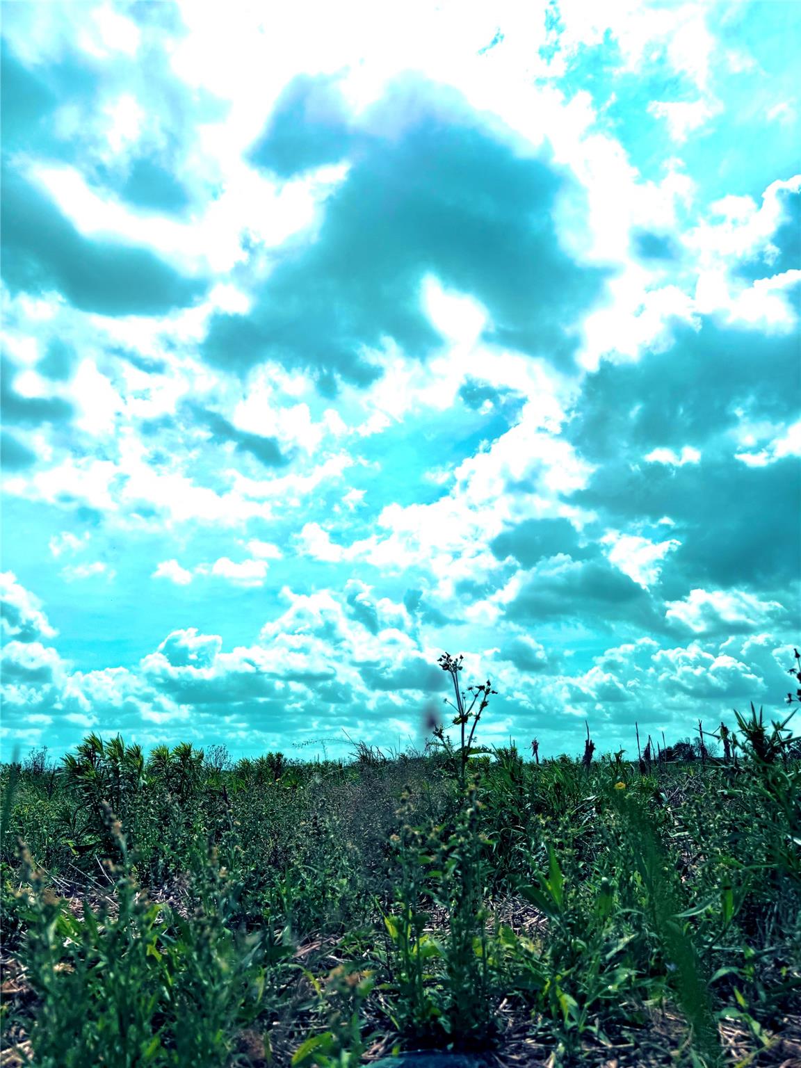 4421 Polak Rd Rd, Orchard, TX 77485