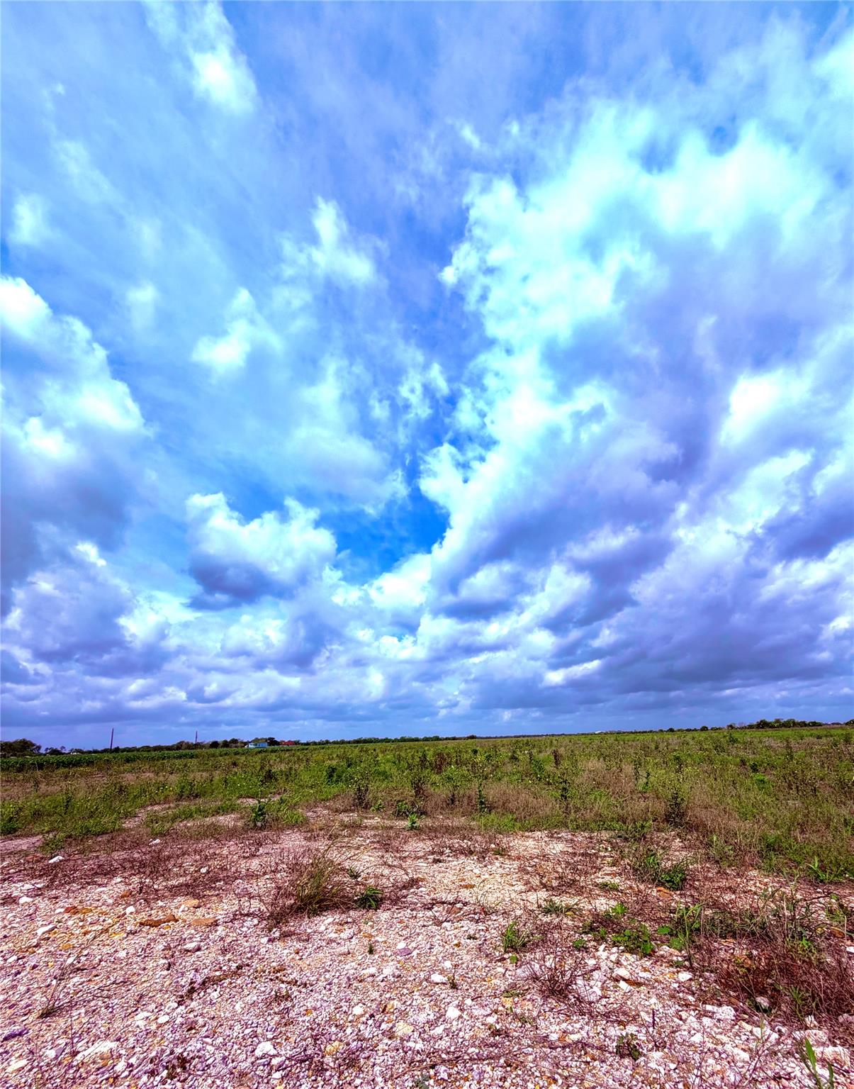 4421 Polak Rd Rd, Orchard, TX 77485