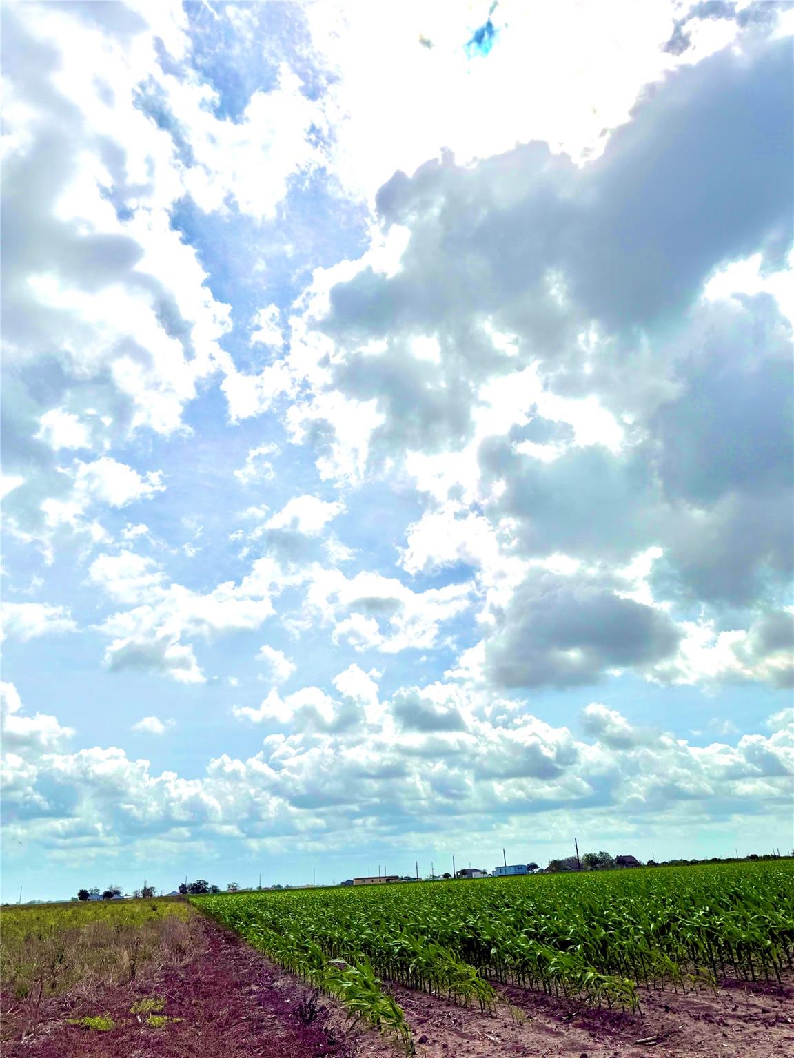 4421 Polak Rd Rd, Orchard, TX 77485