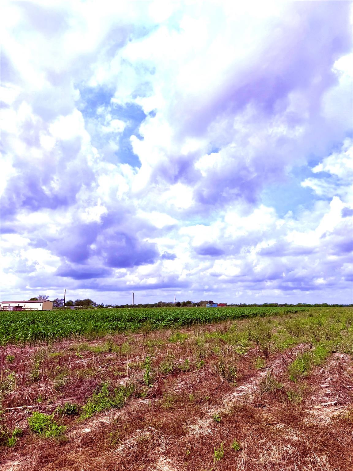 4421 Polak Rd Rd, Orchard, TX 77485